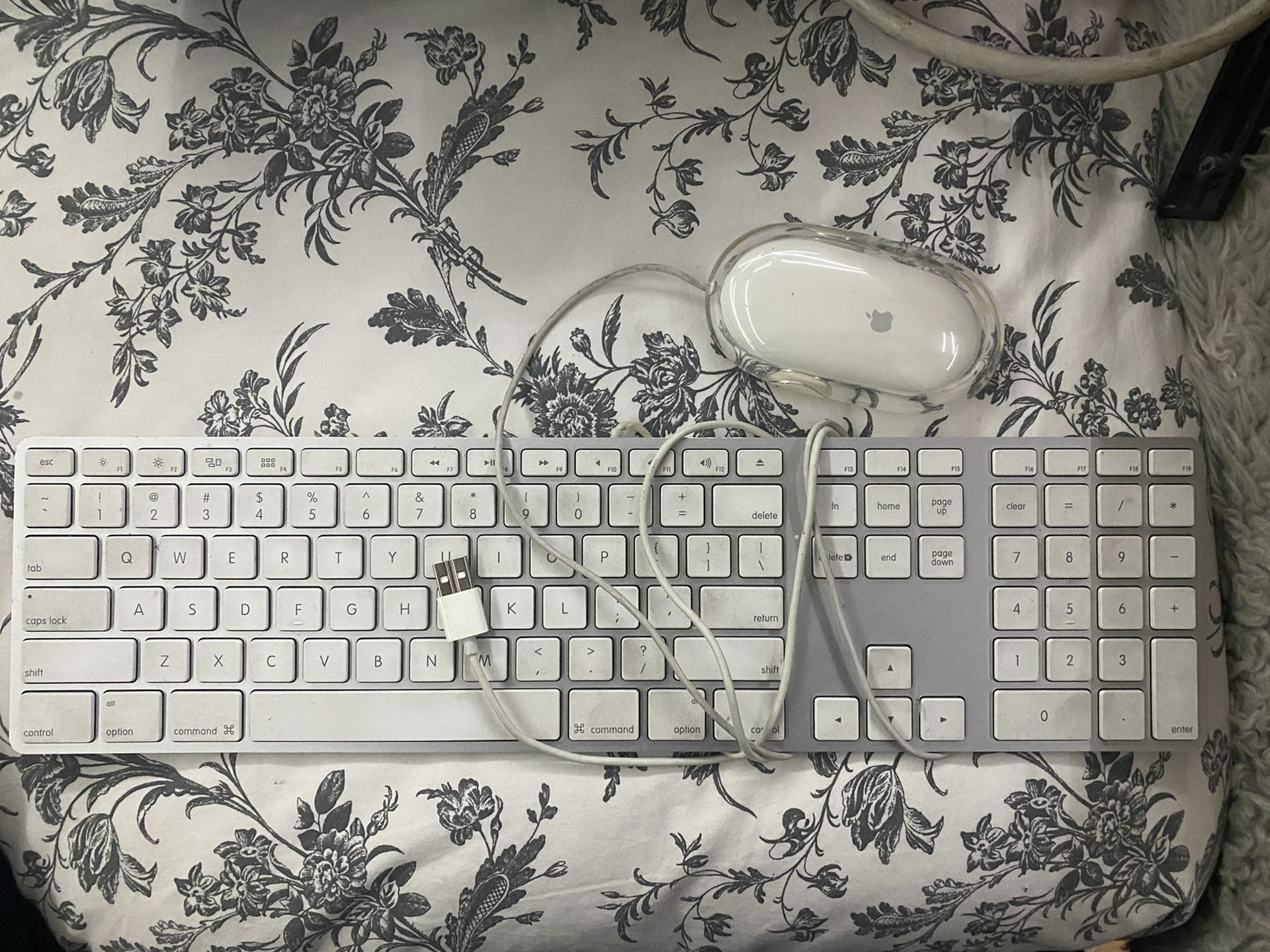 Apple keyboard computer with mouse