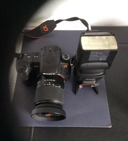 Sony dlsr with flash