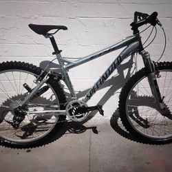Silver Metallic Epic MTB 