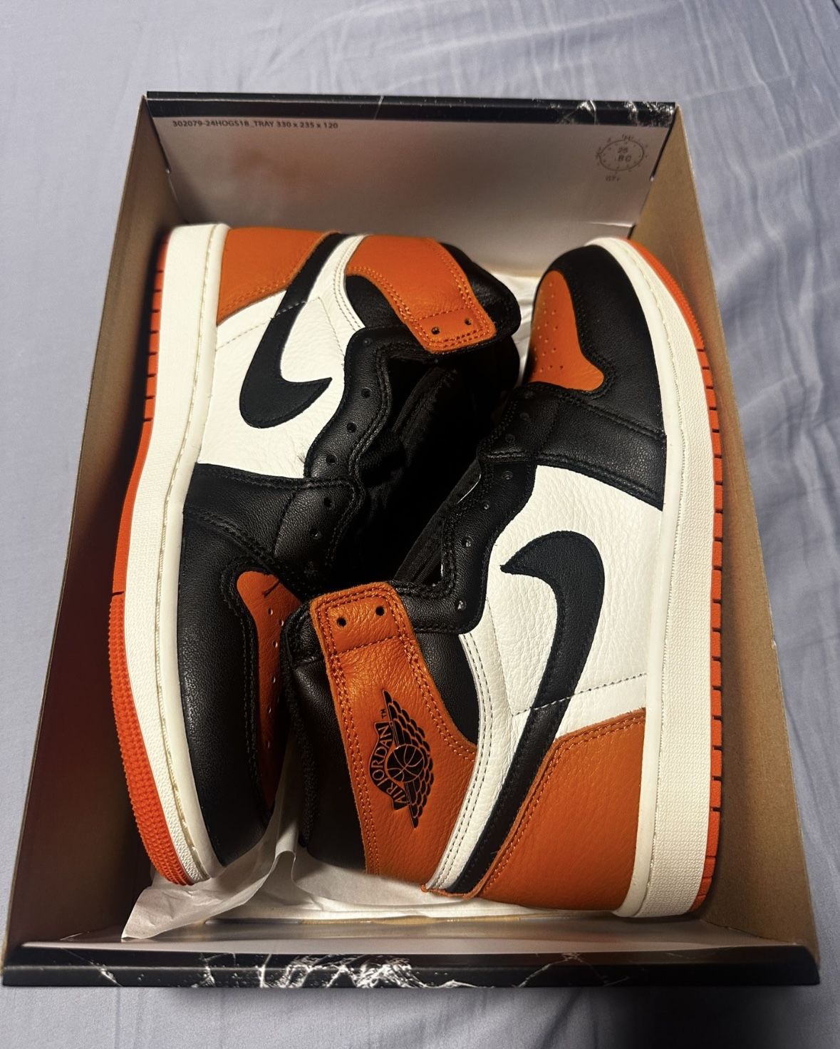 Shattered Backboard Jordan 1