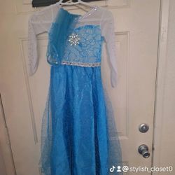 Elsa Costume 