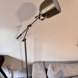 Adjustable Floor Lamp – Bronze/Gold Finish