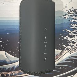 Sony XE300 Portable Bluetooth Speaker