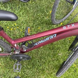 Scwinn GTX 3