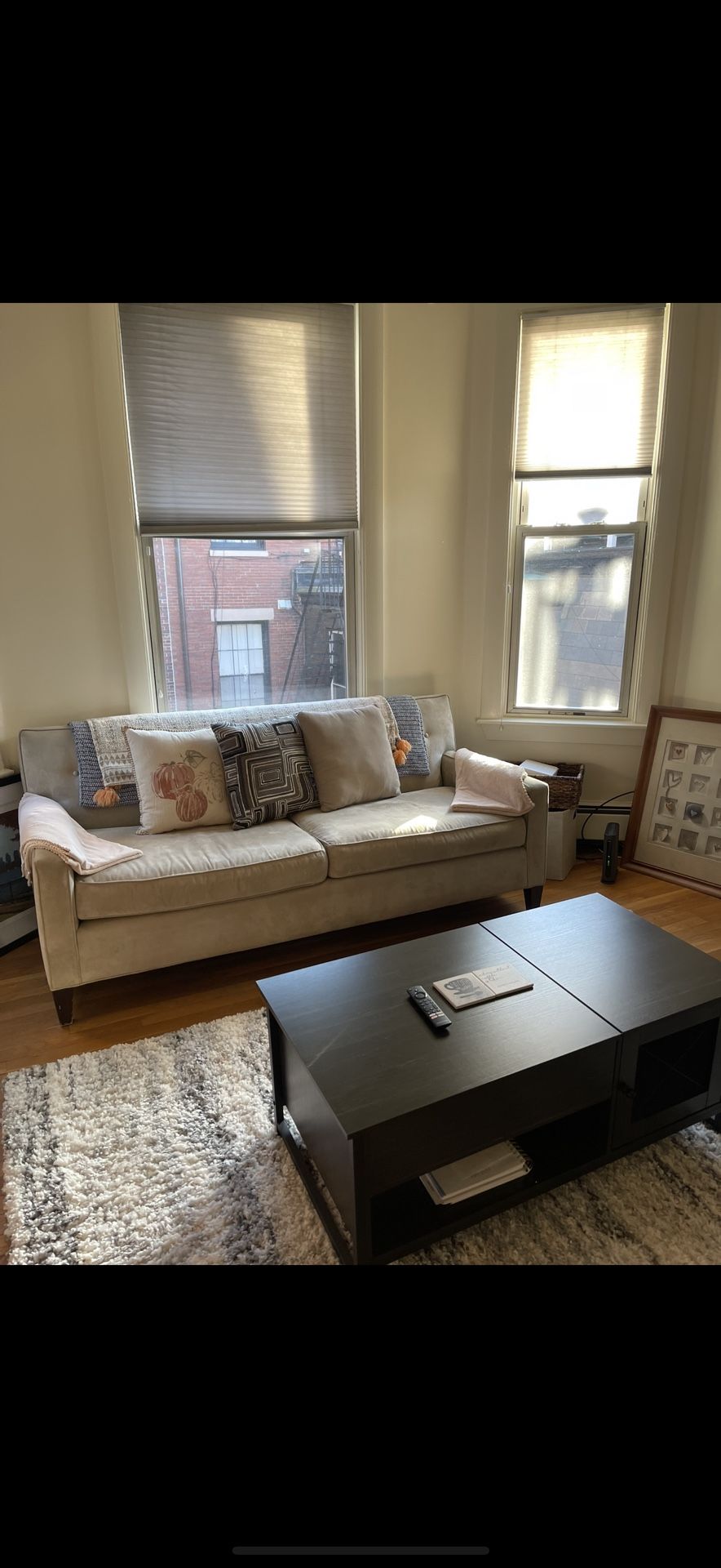 Tan Couch - Mitchell Gold + Bob Williams