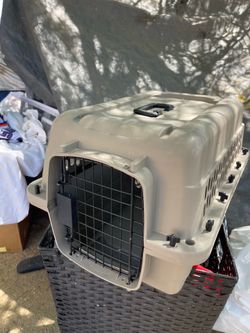 Pet Carrier