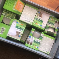 Lightbulbs LED