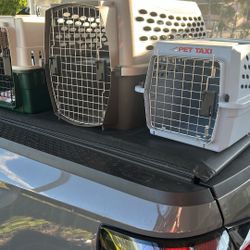 Three dog crates two medium size one small