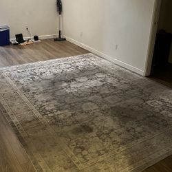 Machine Washable Rug 