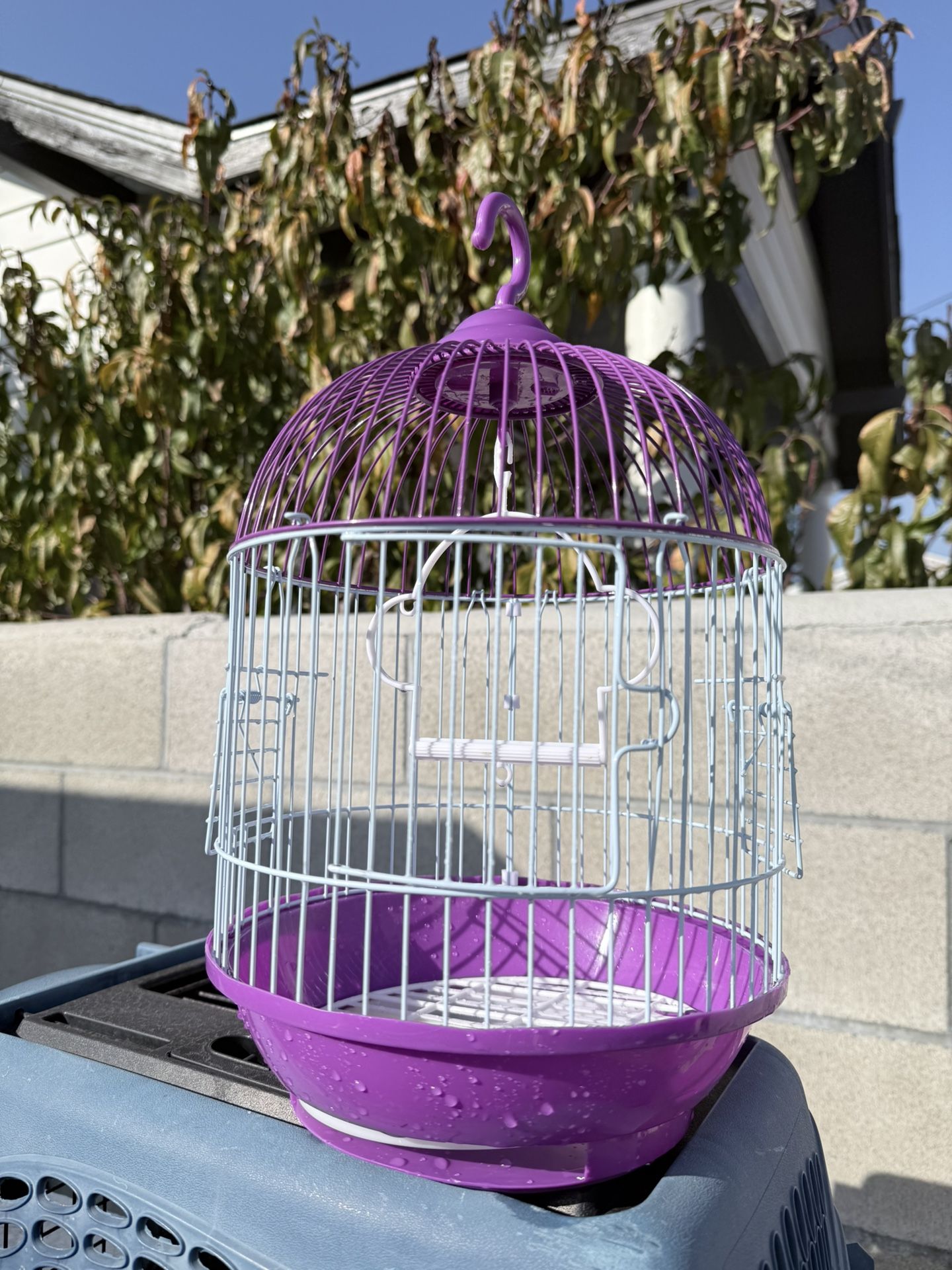 Bird Cage