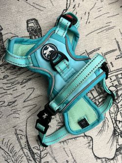 PoyPet No Pull Dog Harness, No Choke Front Lead Dog Reflective Harness Extra Small Mint Color
