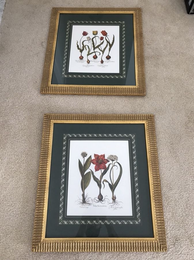 Two framed pictures