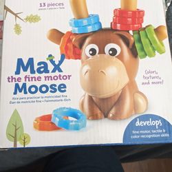 Toddler Development Toy