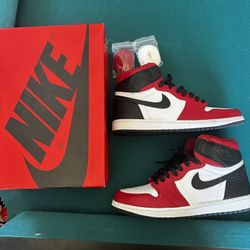 Nike Jordan 1 Snakeskin 12W