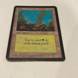 MTG Forest By Christopher Rush limited edition alpha