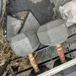 45 Pound Dumbbells 