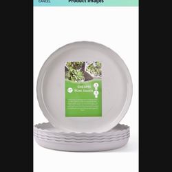 Plates For Pots Plants 