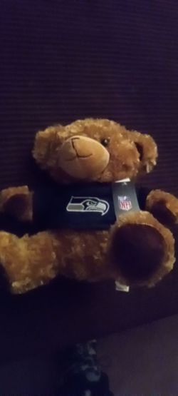 Seahawks Bear