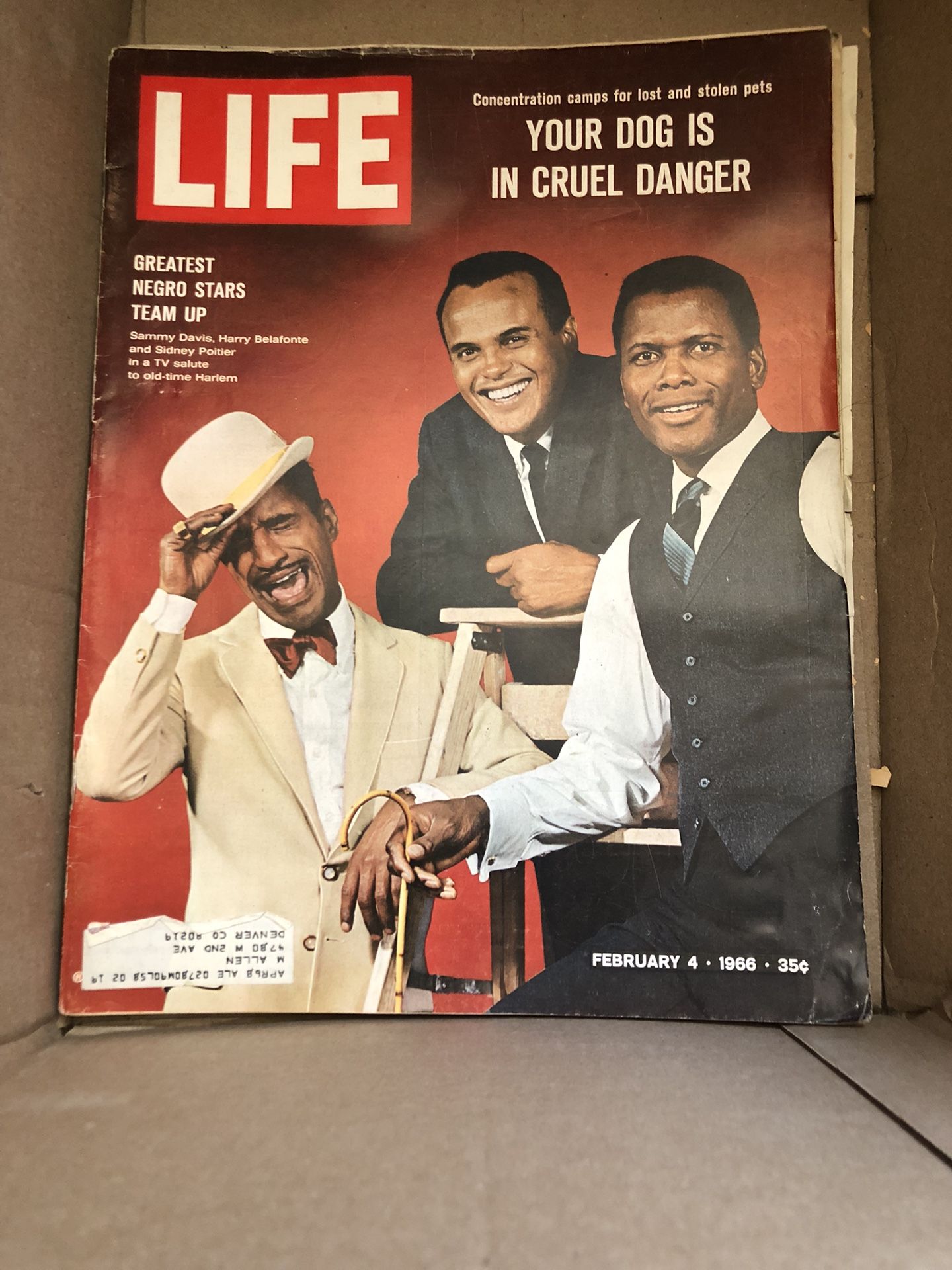 Old Magazines