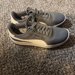 Pumas