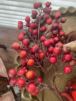 5 stems of decorative pomegranate