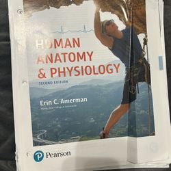 human anatomy and physiology 