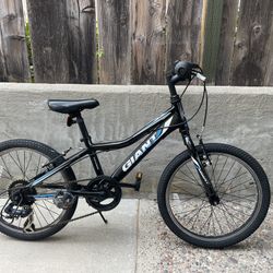 Giant Revel 20” Tires / 7 Speed / Kids Mountain Bike