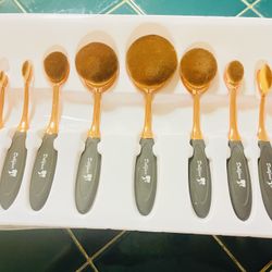 10 piece make up brush Set ! NIB!