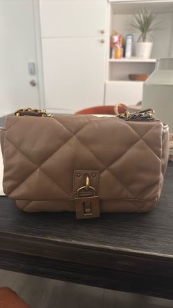 Steve Madden Purse