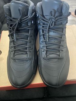 Jordan 12 winter ❄️