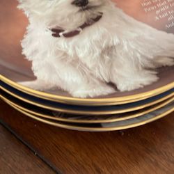 Vintage Porcelain Plates 2.00 Each Have 10 Of Them