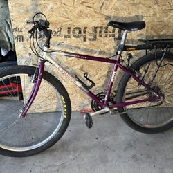 1990’s Trek 820 Antelope