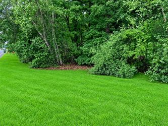 Lot for Sale