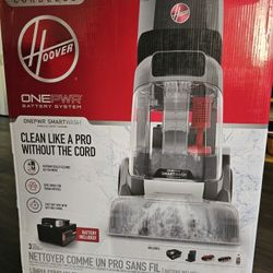 Cordless Carpet Cleaner !DEAL!