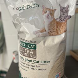 Cat Litter 