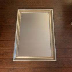 Large 3” Silver Leaf Frame With A Gold Cove 24 X 36”