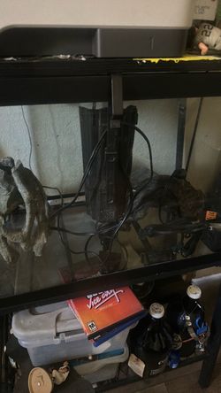 Fish tank