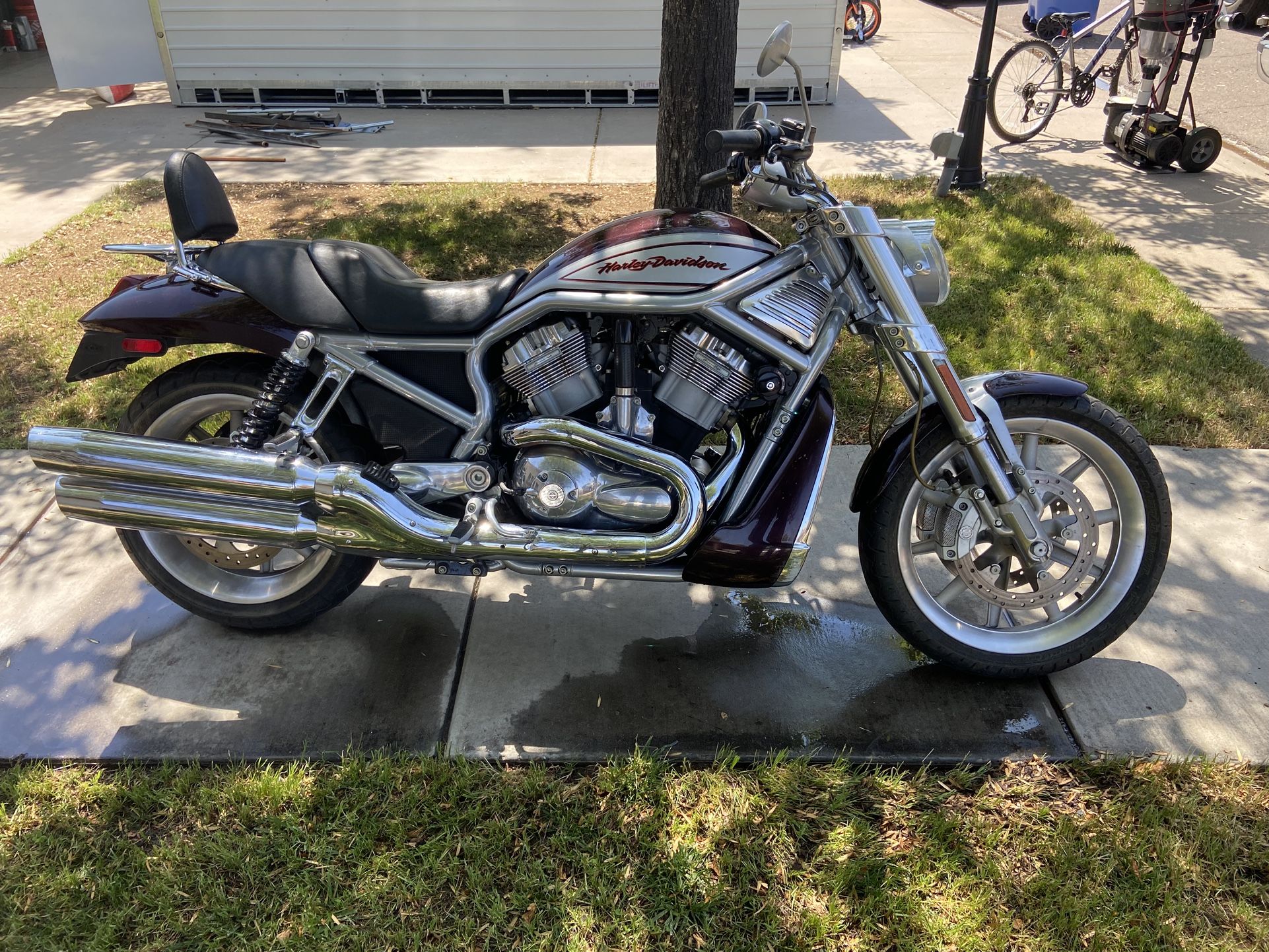 2006 Harley-Davidson Street Rod (V-Rod)