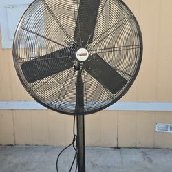 Fan