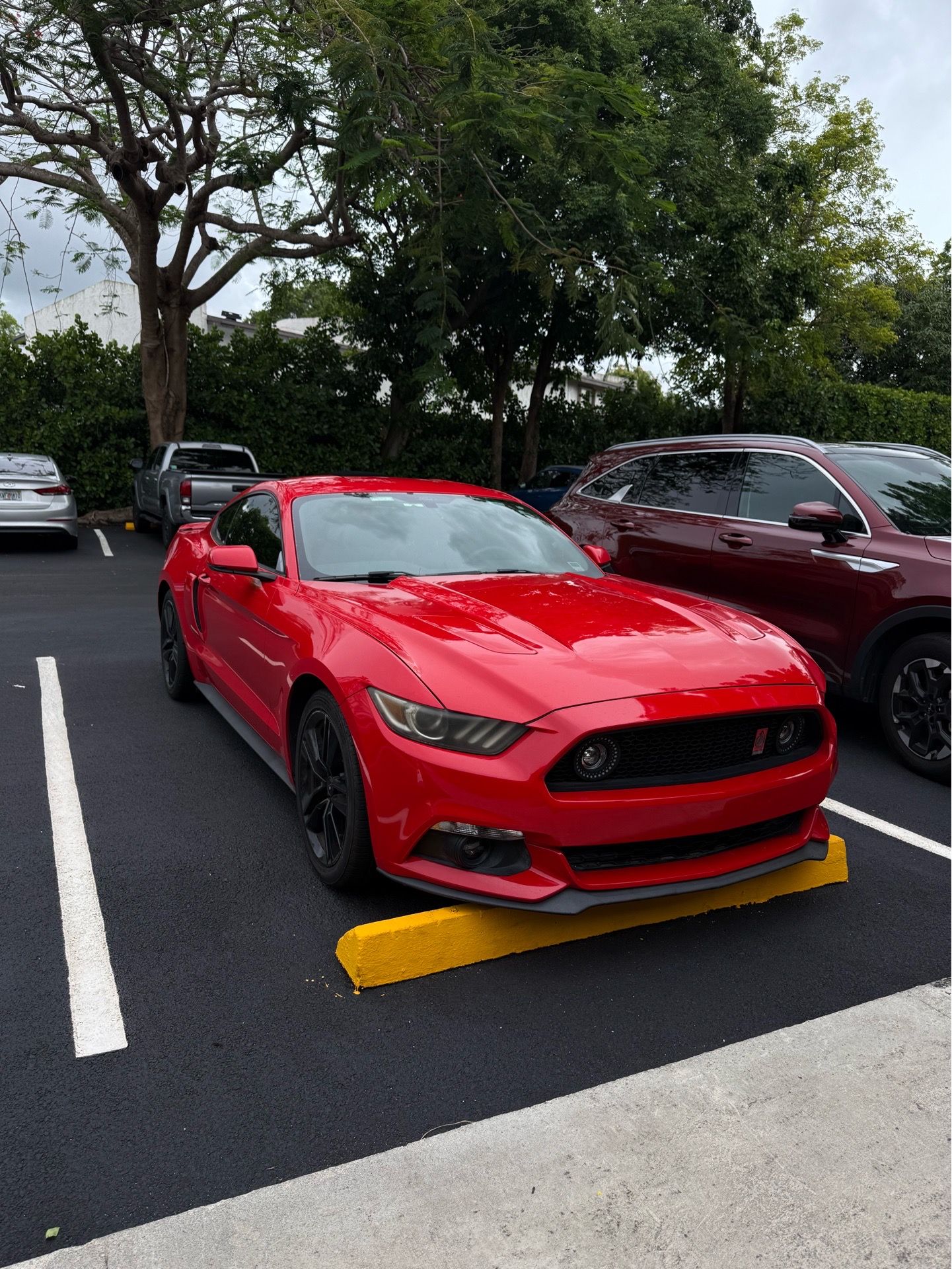 2015 Ford Mustang