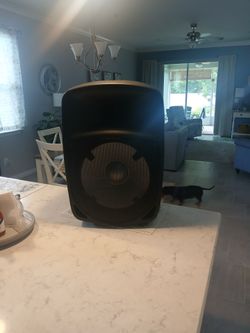 Big Bass Speaker with Bluetooth