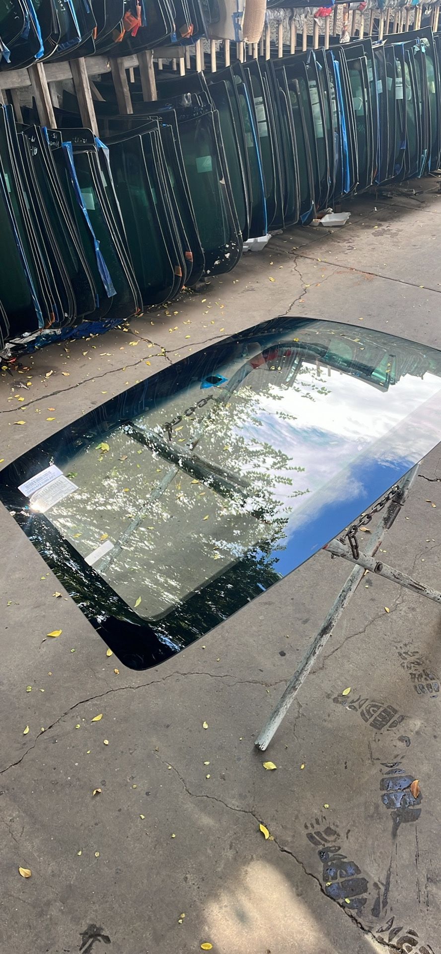 Windshields AutoGlass