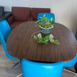 Dinner Table/ Chairs 