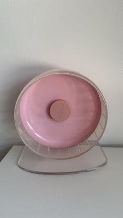 Night angle hamster wheel