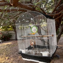 Birdcage With Food And Paper Litter