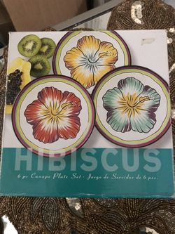 6 piece hibiscus plate set