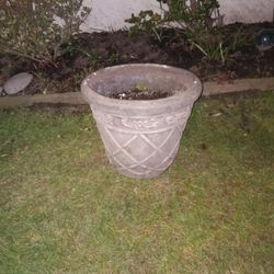 Cement Pot 