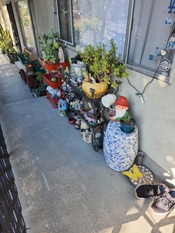 Big Plant Sale Going on Today Friday !!! Everything Is For Sale!!!! 