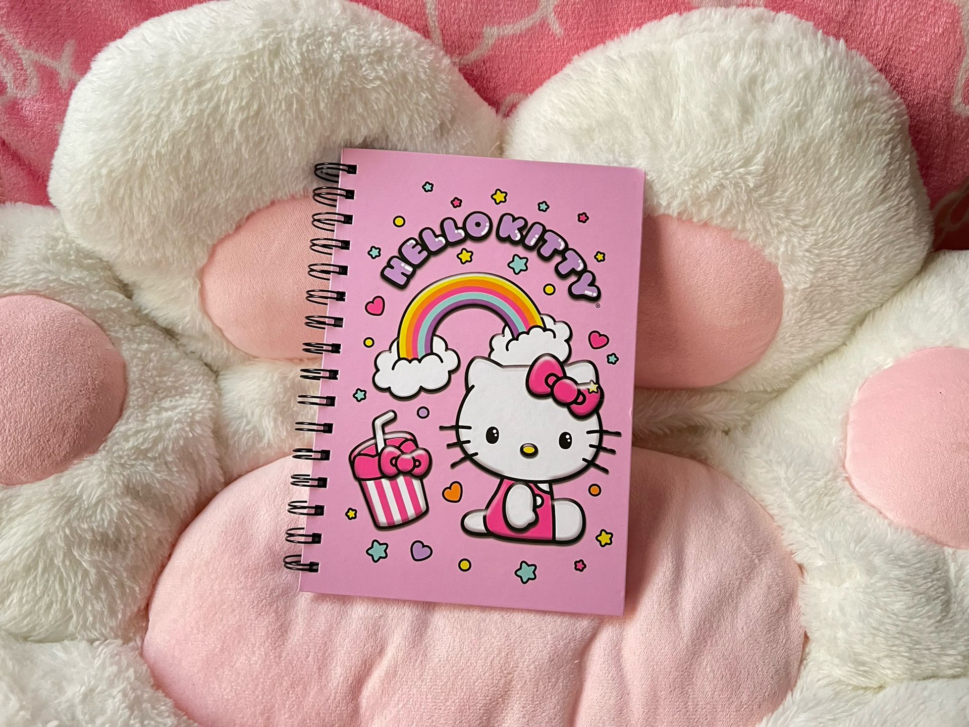 Hello Kitty & Friends: Notebook ✨💗