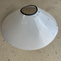 Dog Coller Protector ( Saf-T- Shield)